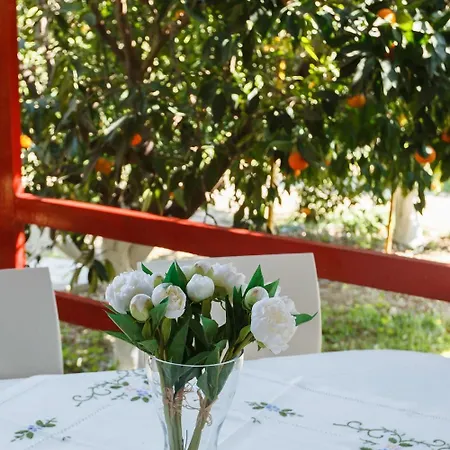 Cottonclub Lägenhet