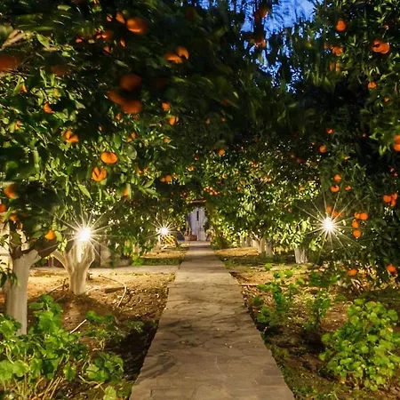 Lägenhet Cottonclub Tolón