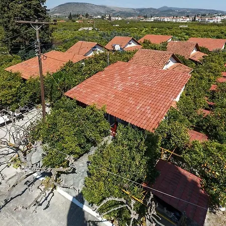 Lägenhet Cottonclub Tolón