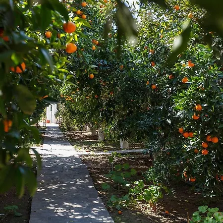 Cottonclub Lägenhet *