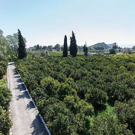 Cottonclub Lägenhet