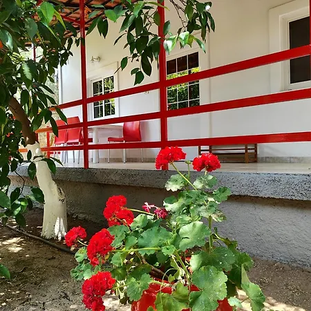 Апартаменты Cottonclub