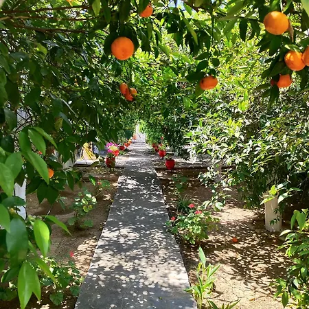 Cottonclub Lägenhet Tolón