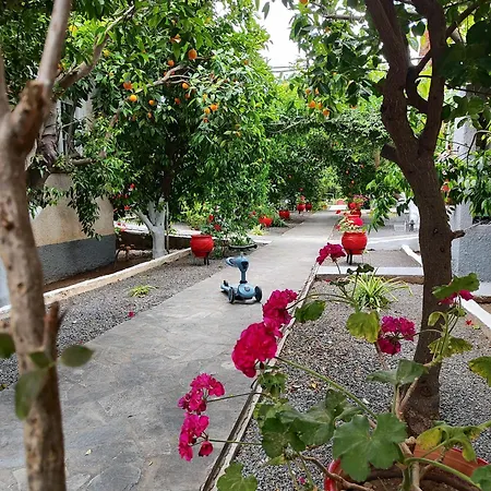 Cottonclub Lägenhet Tolón