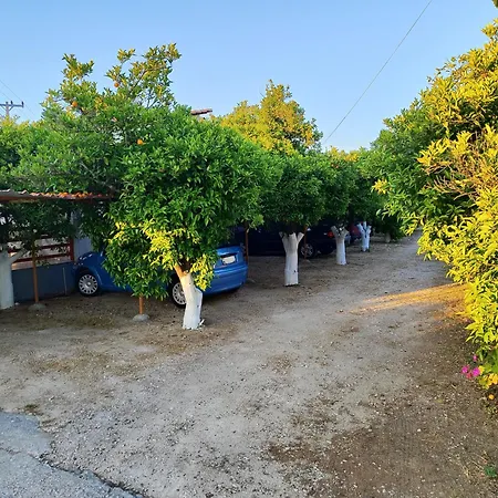 Cottonclub Толон