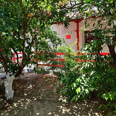 Cottonclub Апартаменты Толон