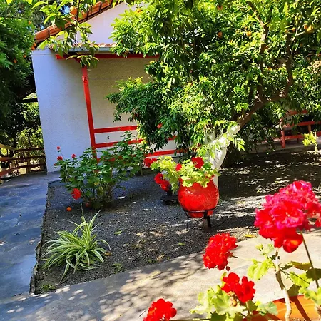 Апартаменты Cottonclub *