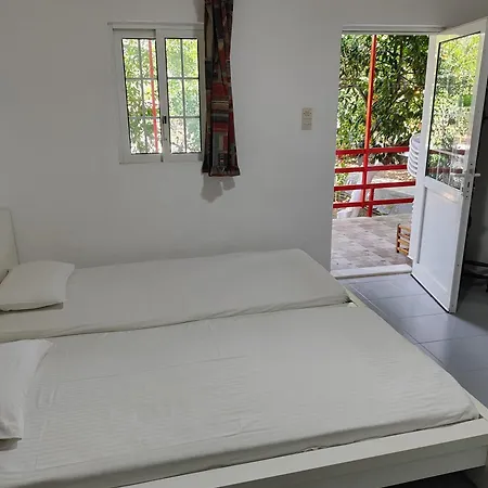 Cottonclub Толон