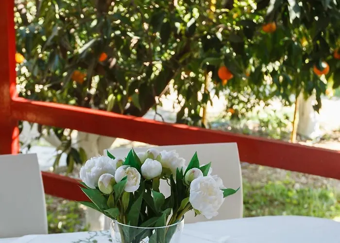 Cottonclub Apartamento