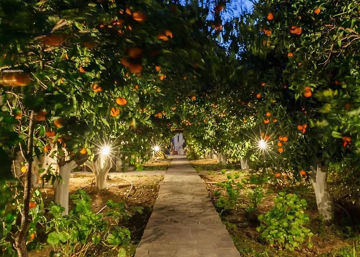 Apartamento Cottonclub Tolón