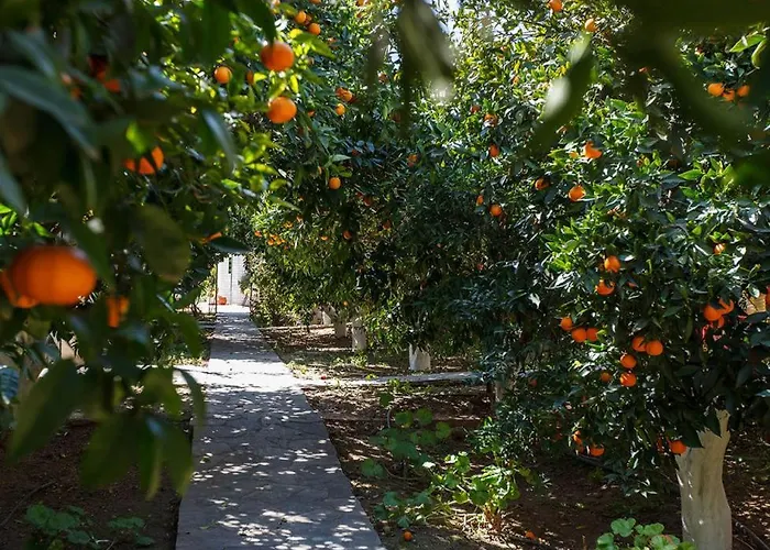 Cottonclub Apartamento *