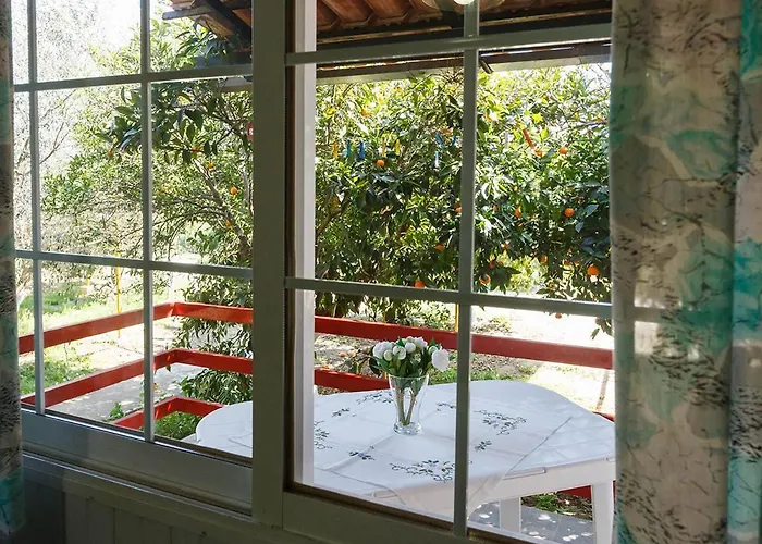 Cottonclub Apartamento *