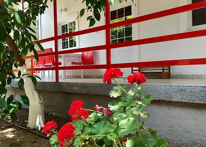 Apartamento Cottonclub