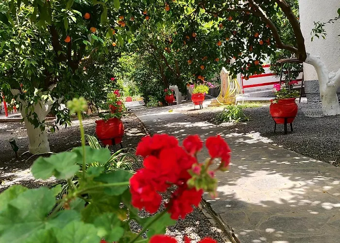 Apartamento Cottonclub