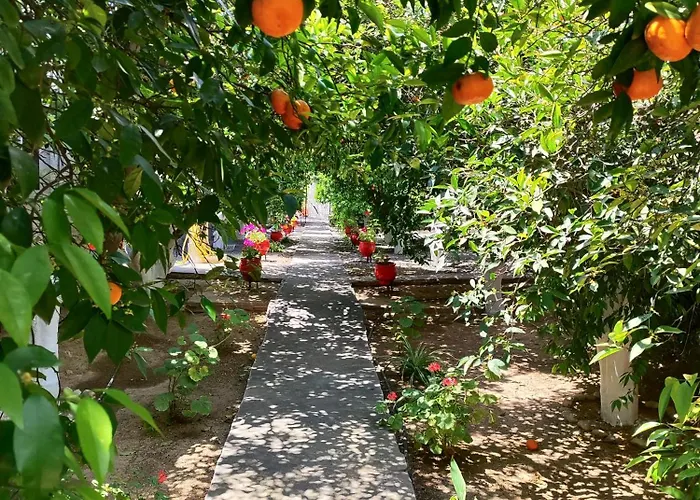 Cottonclub Apartamento Tolón