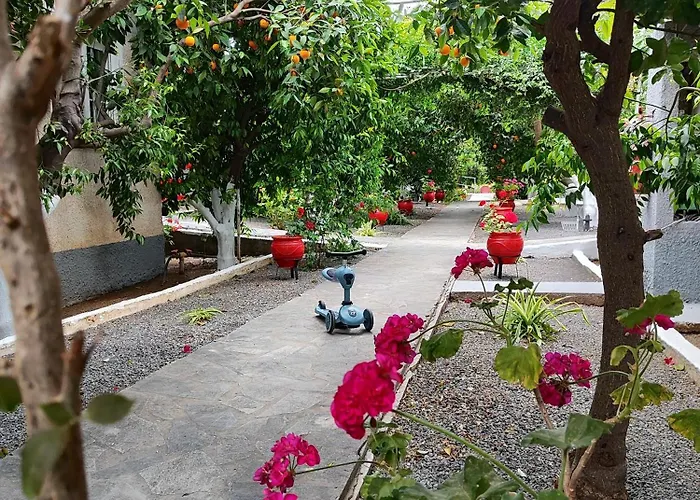 Cottonclub Apartamento Tolón