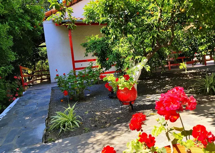 Apartamento Cottonclub *